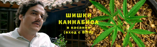 шишки Балабаново